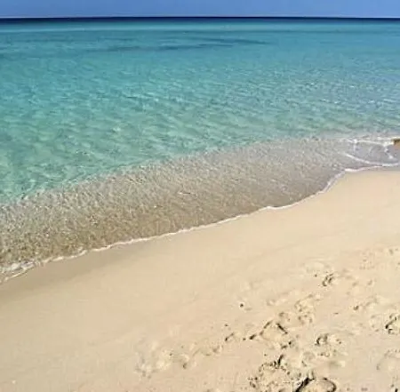 Dimora Vignali Bed & Breakfast *