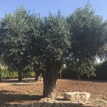 Dimora Vignali ベッド・アンド・ブレックファスト *