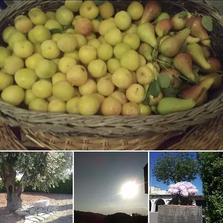 Dimora Vignali Fragagnano