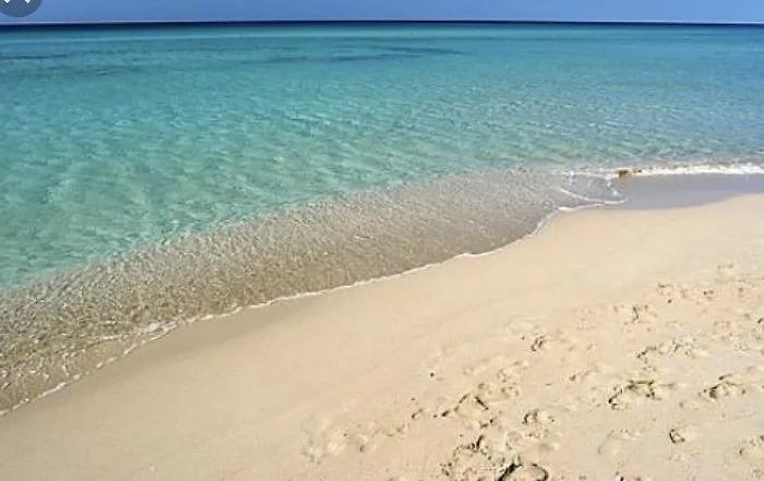 Dimora Vignali 住宿加早餐酒店 *